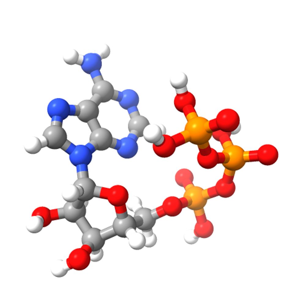 The Arany lab