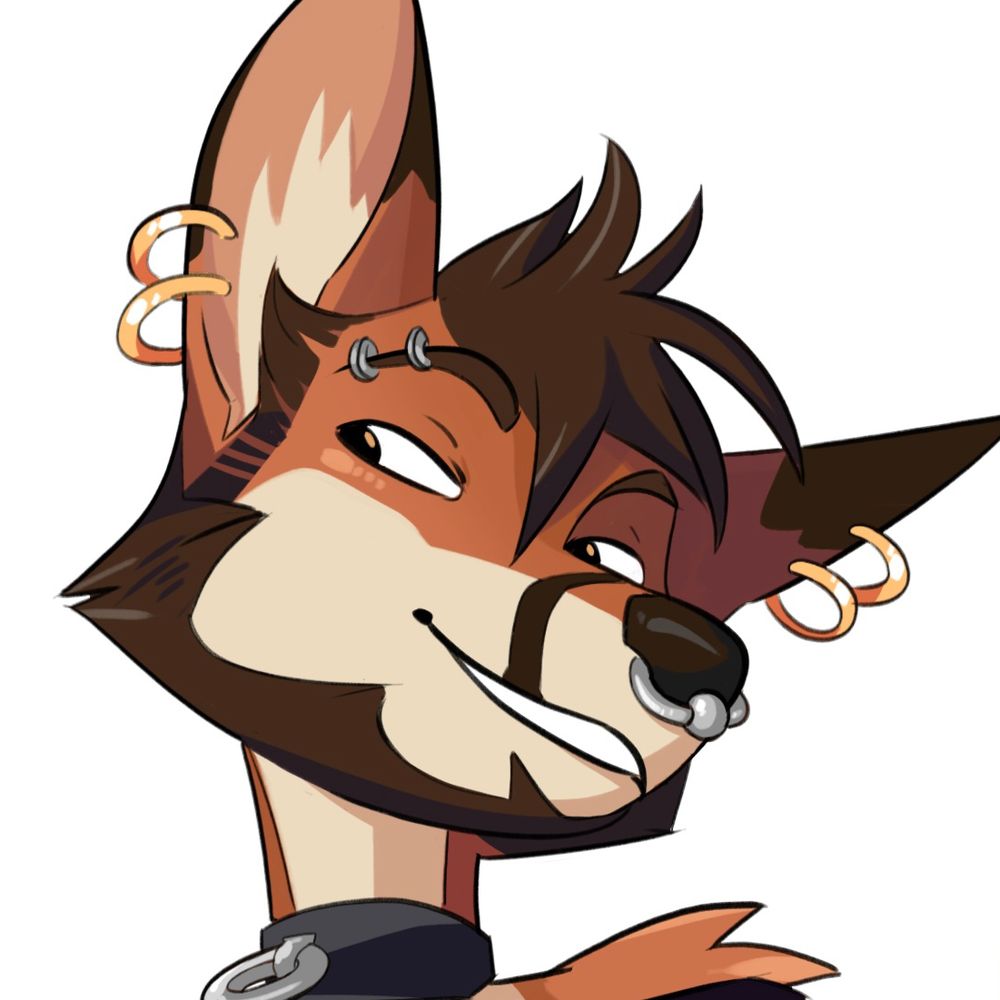 donryu.bsky.social profile picture