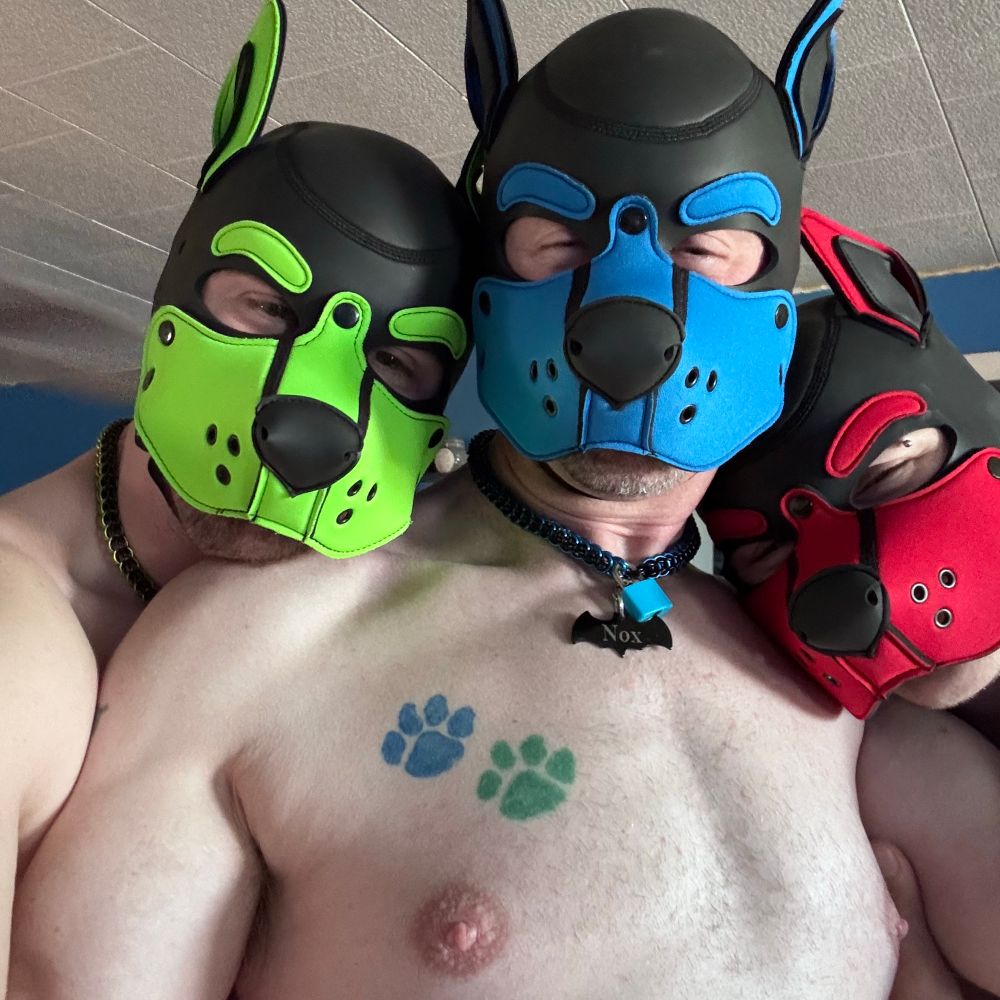 Pup Amicus