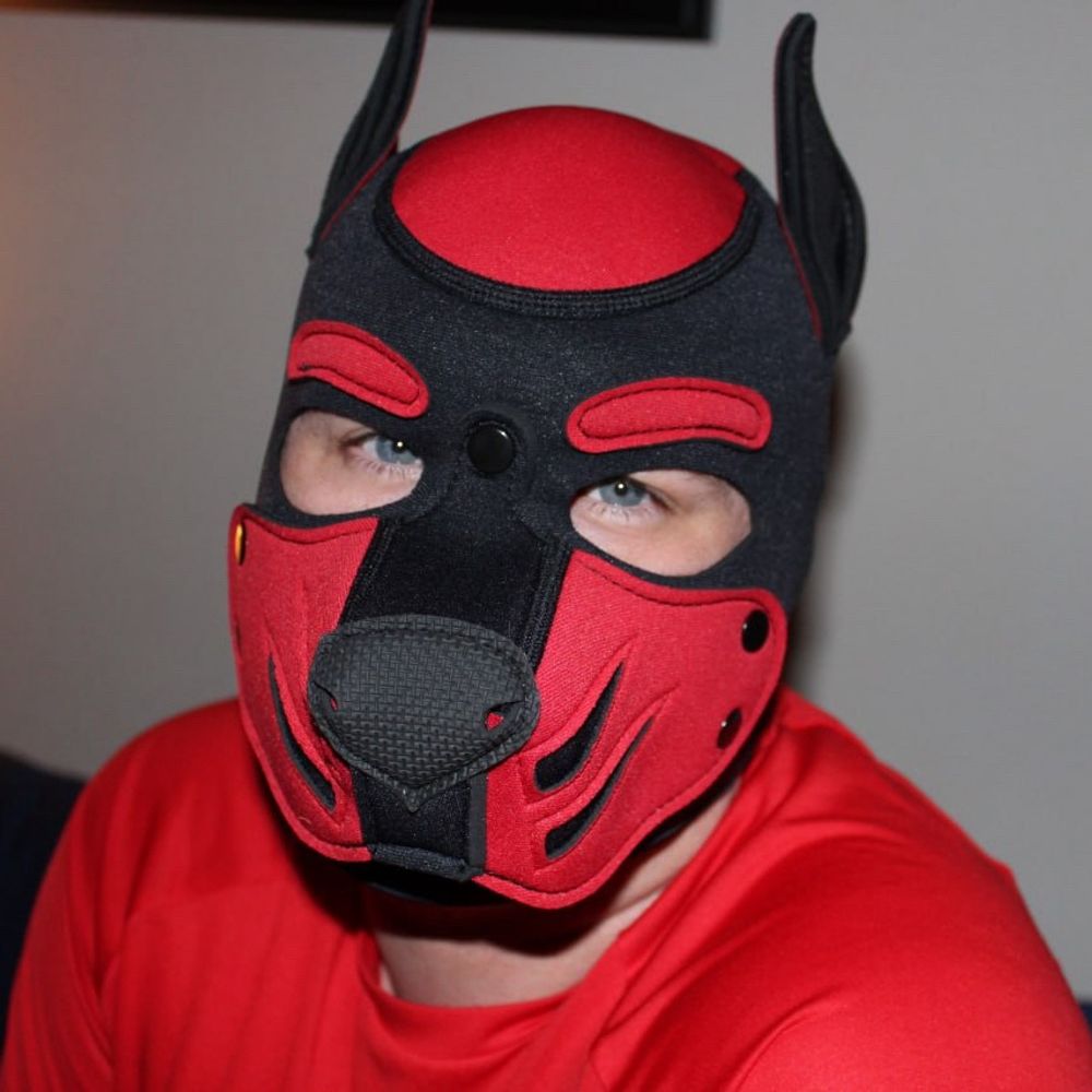 Pup_Tat