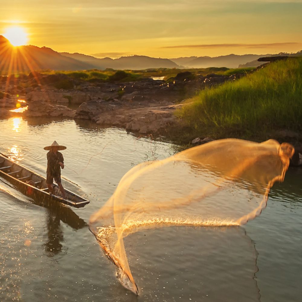WWF Freshwater