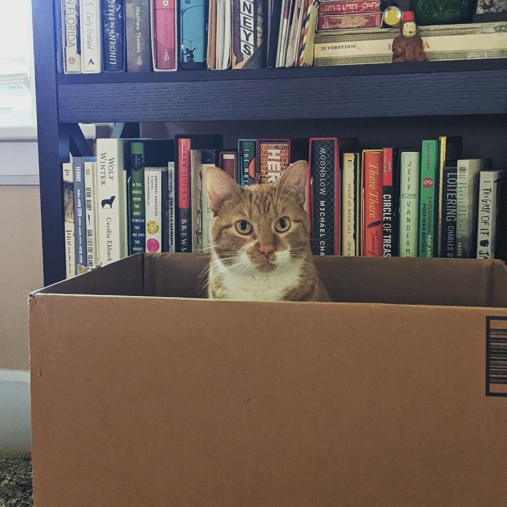 Nora