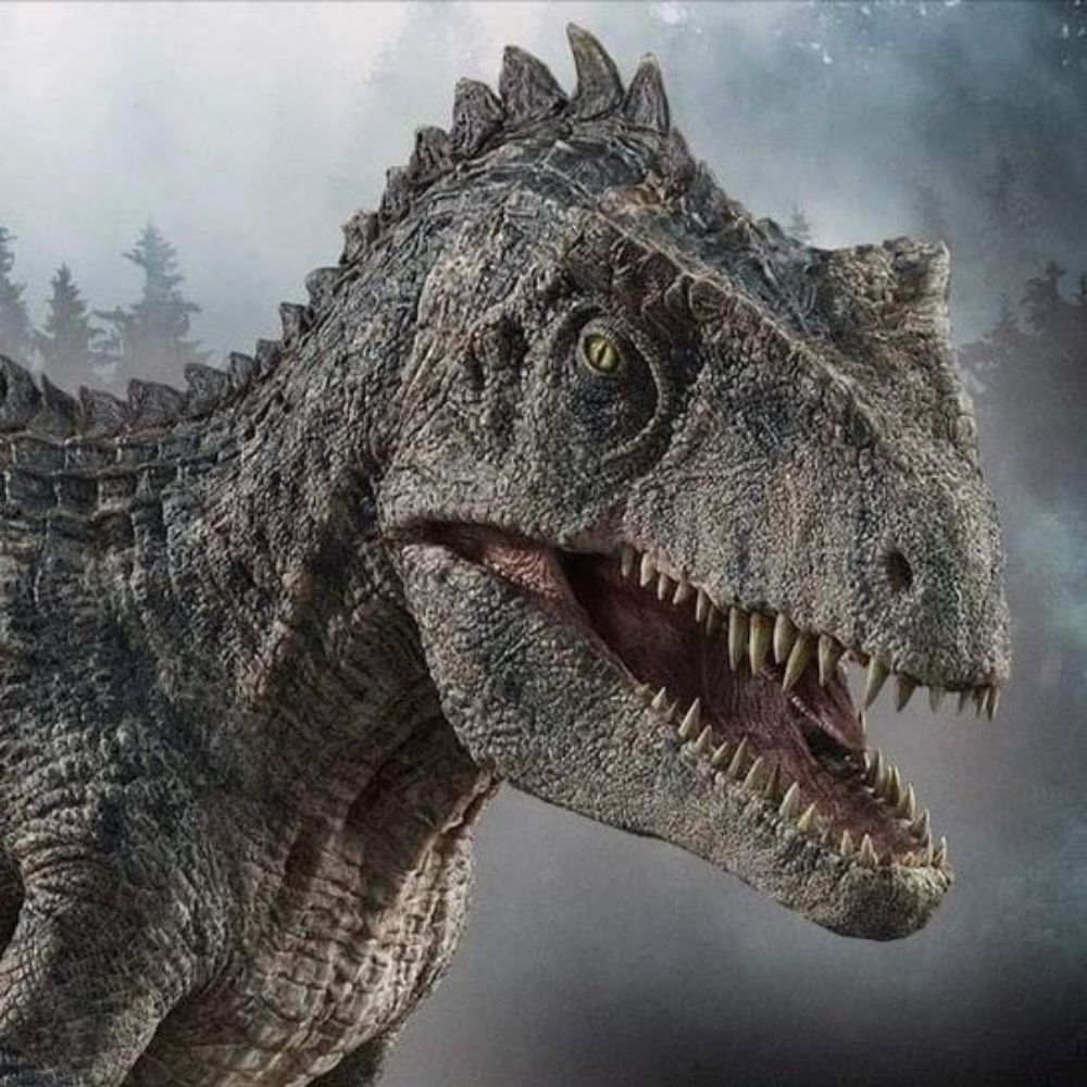  🦖 💚King zeb 🐊💚