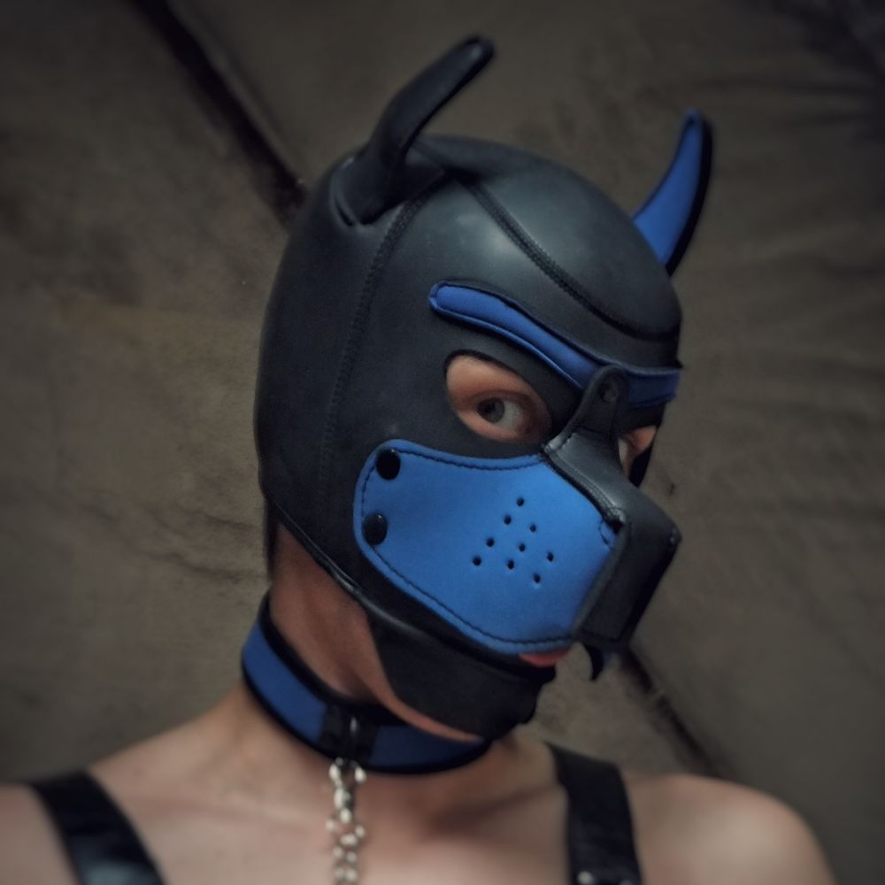 Profile picture wuffalot.bsky.social