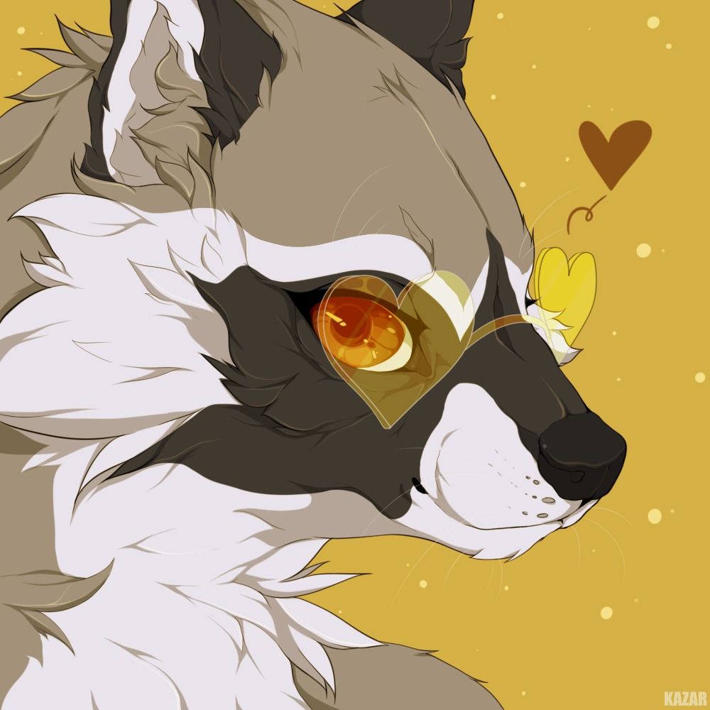 Stringfox ~ Kewn