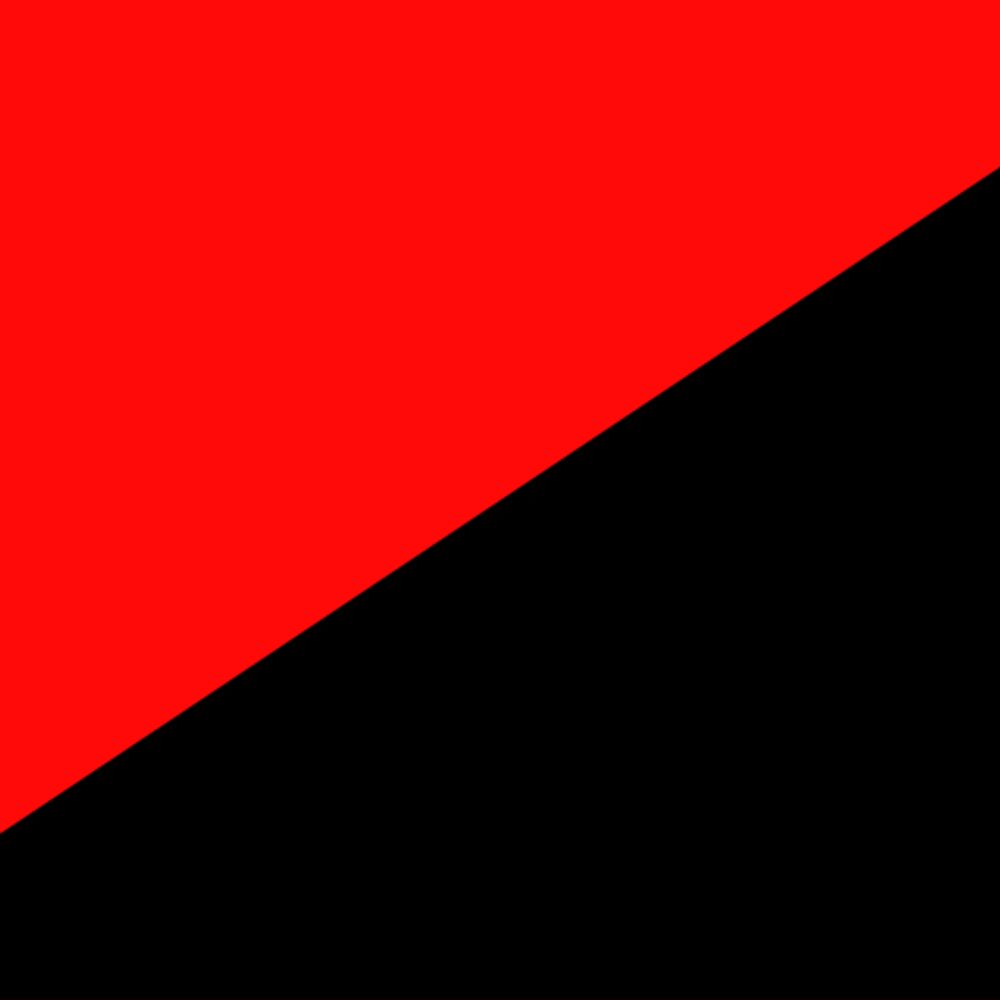 anarchy ideologue