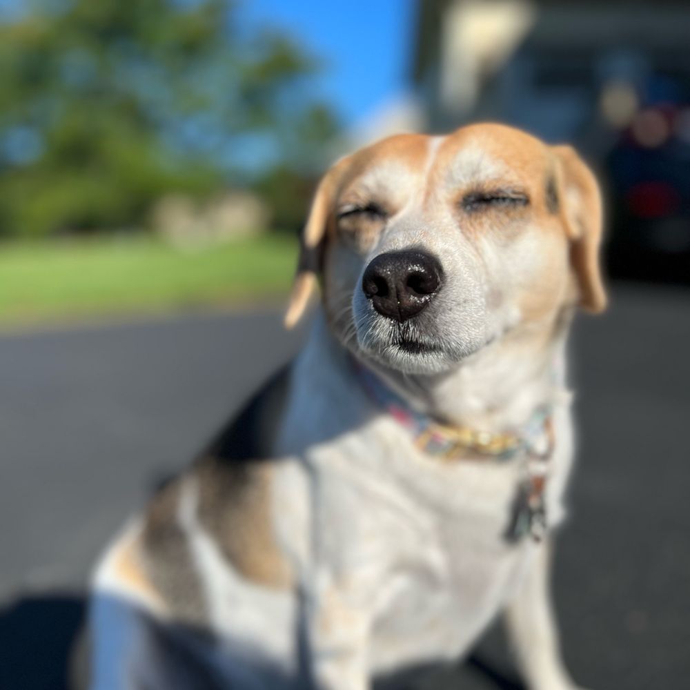 julia