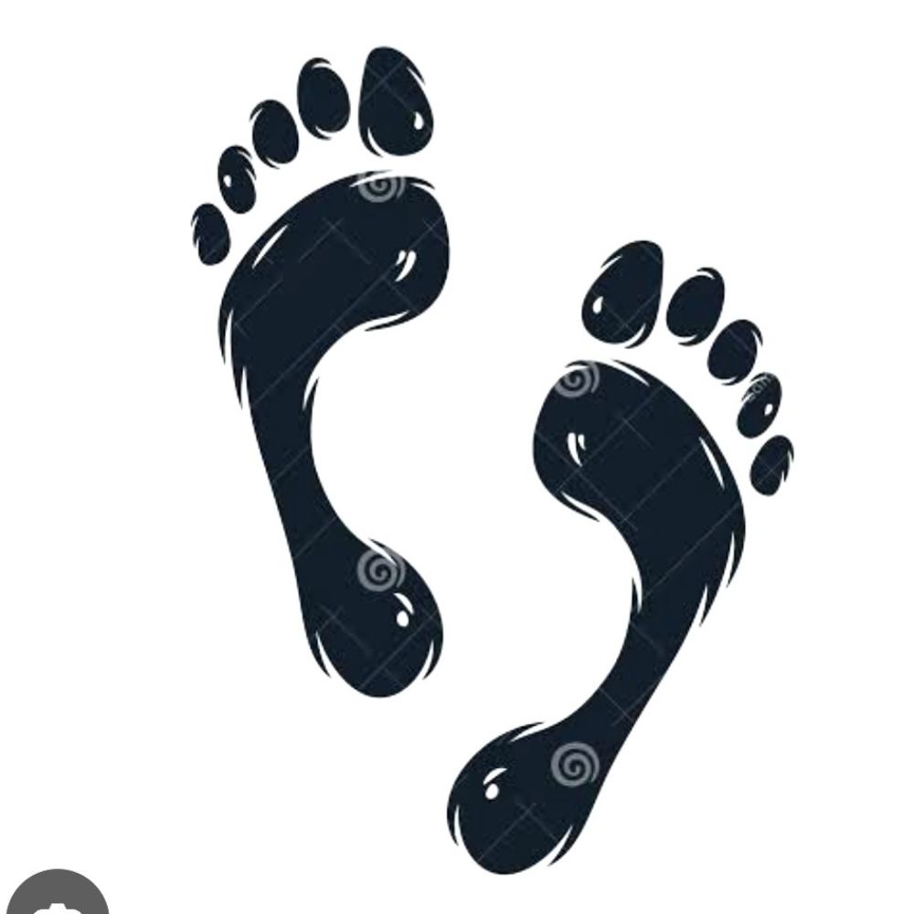 Profile picture barefoot-primate.bsky.social