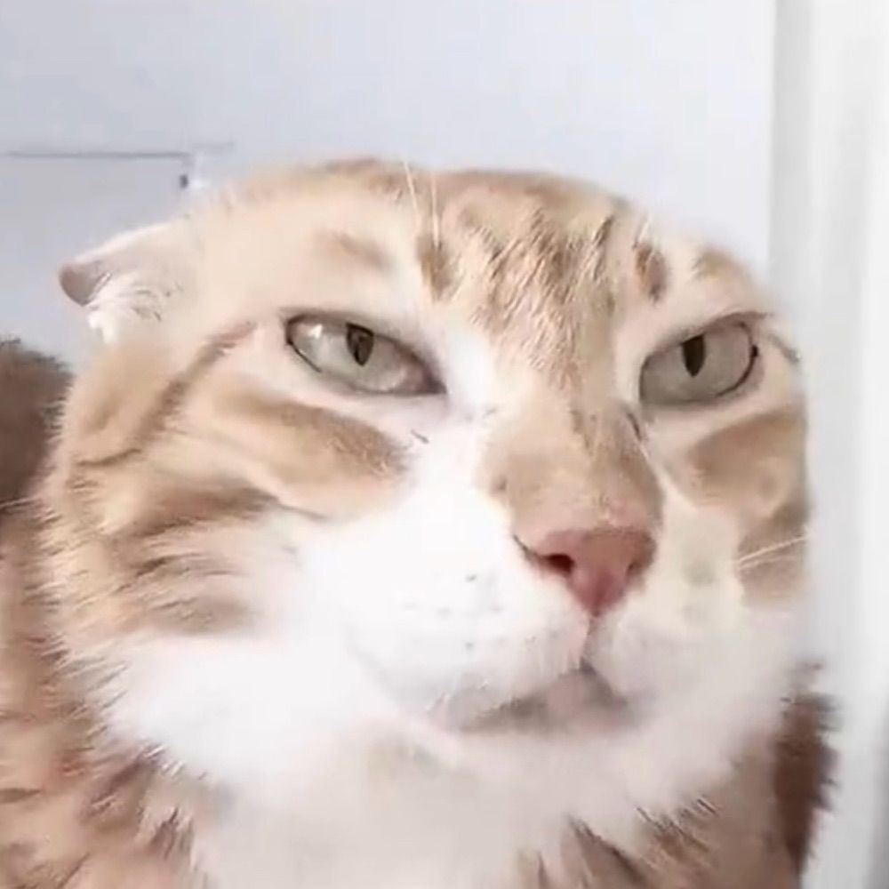 :P