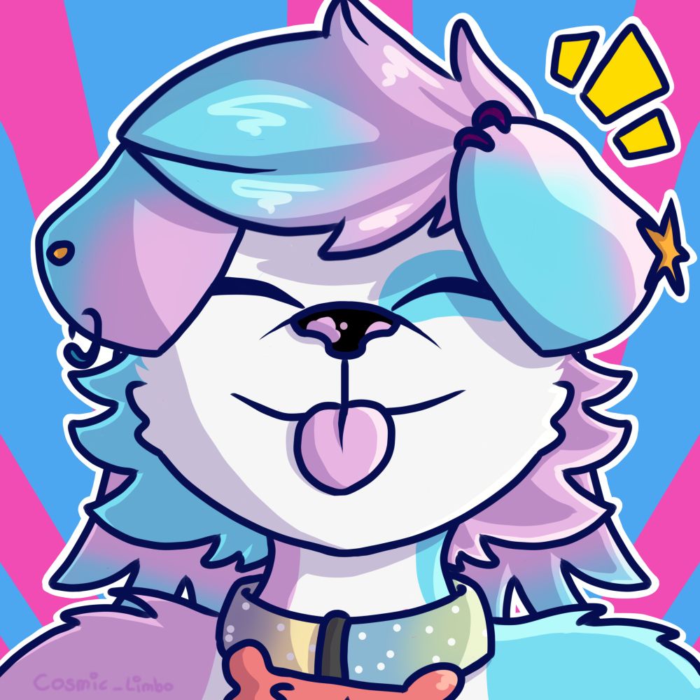 ⋆｡°✩ Scooter the Collie! ✩°｡⋆