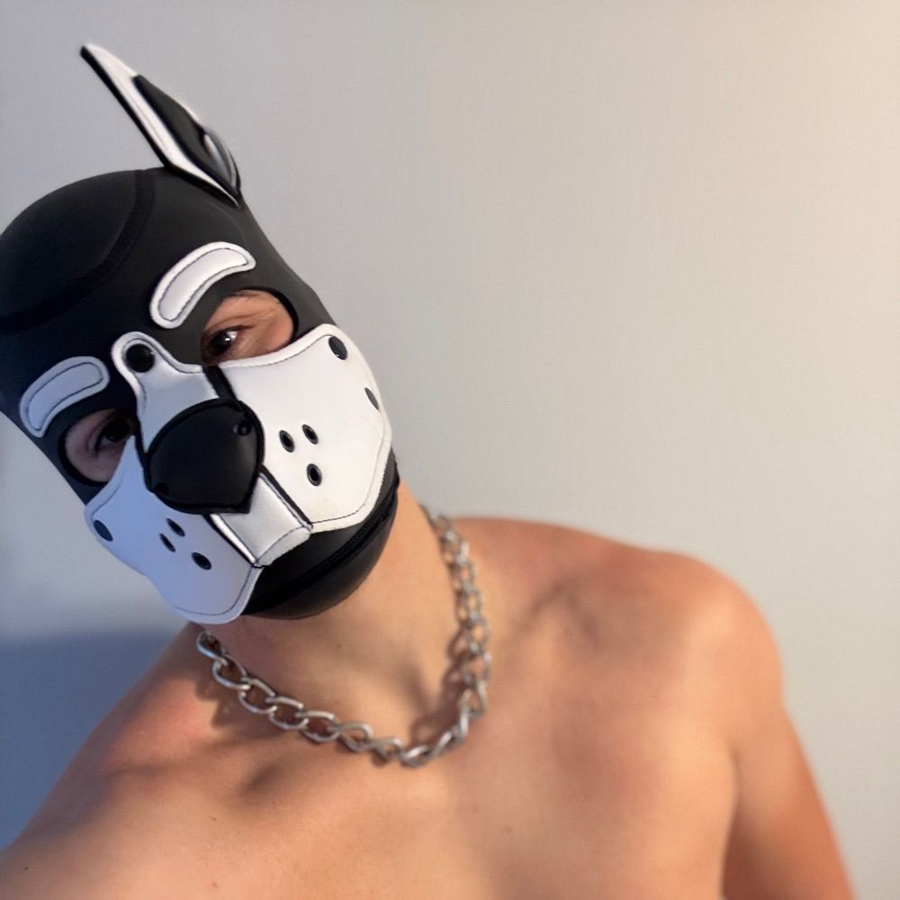 Pup Dorian