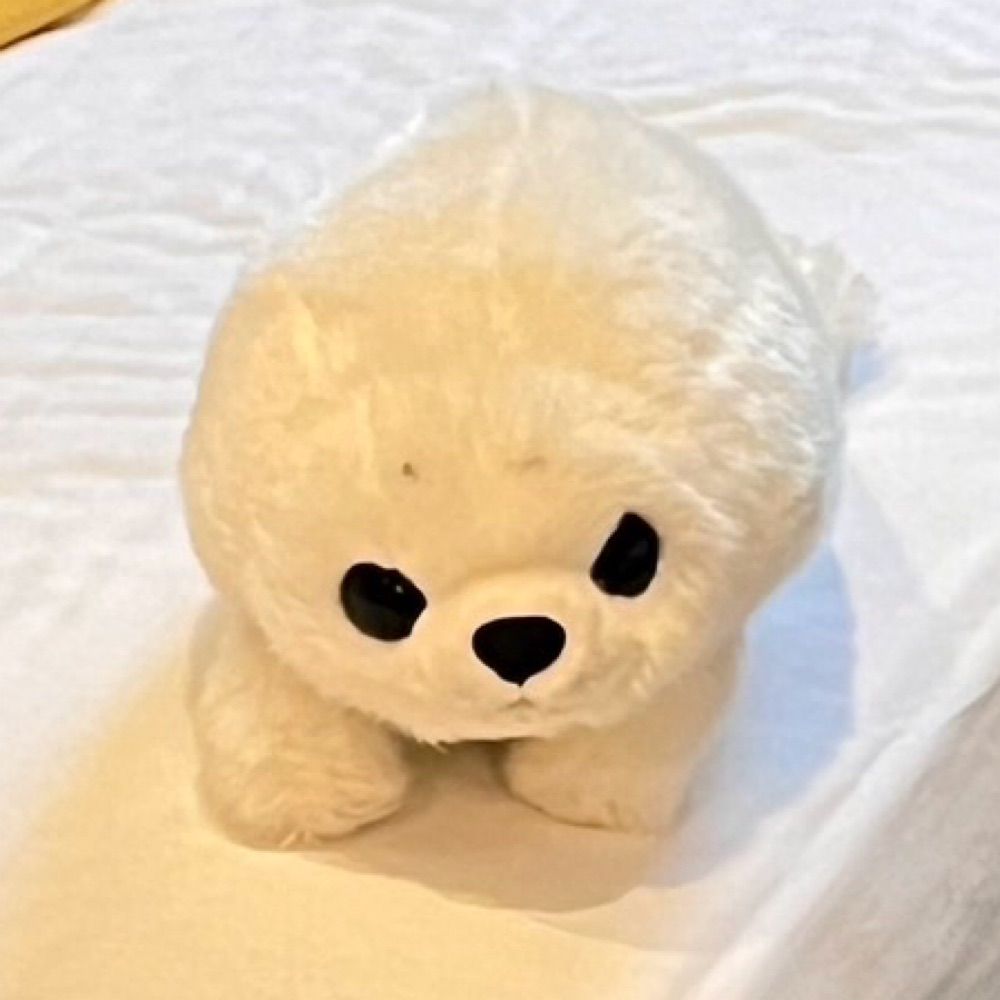 スー