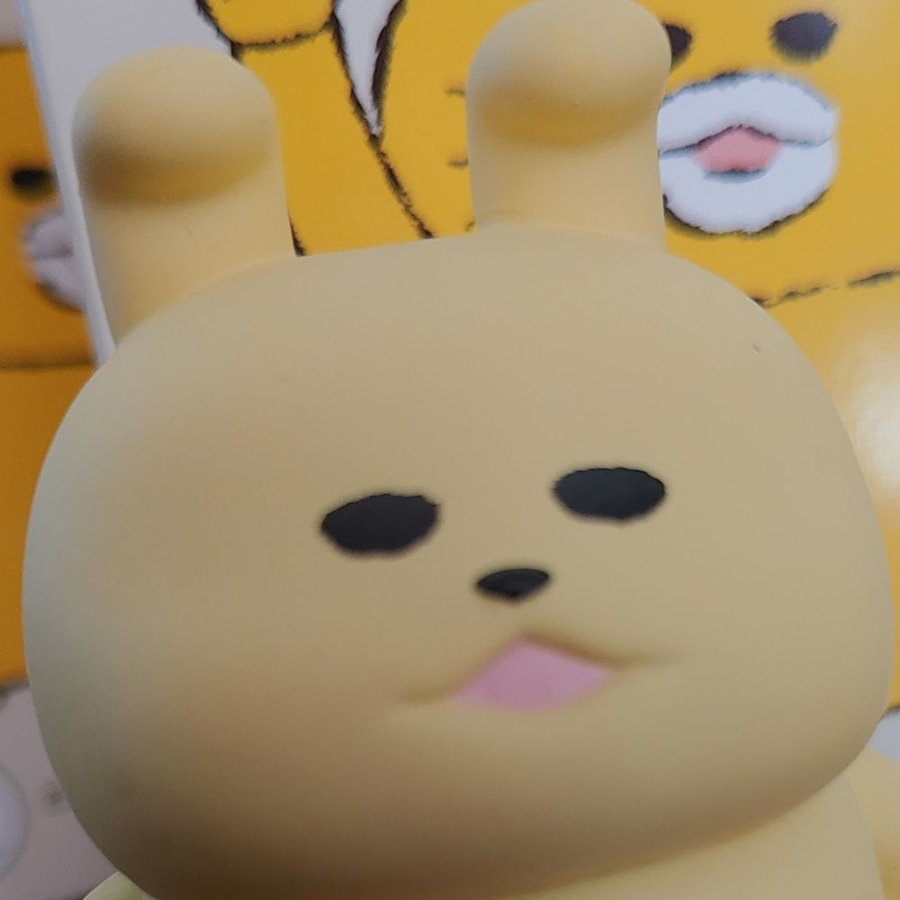 もちーさん
