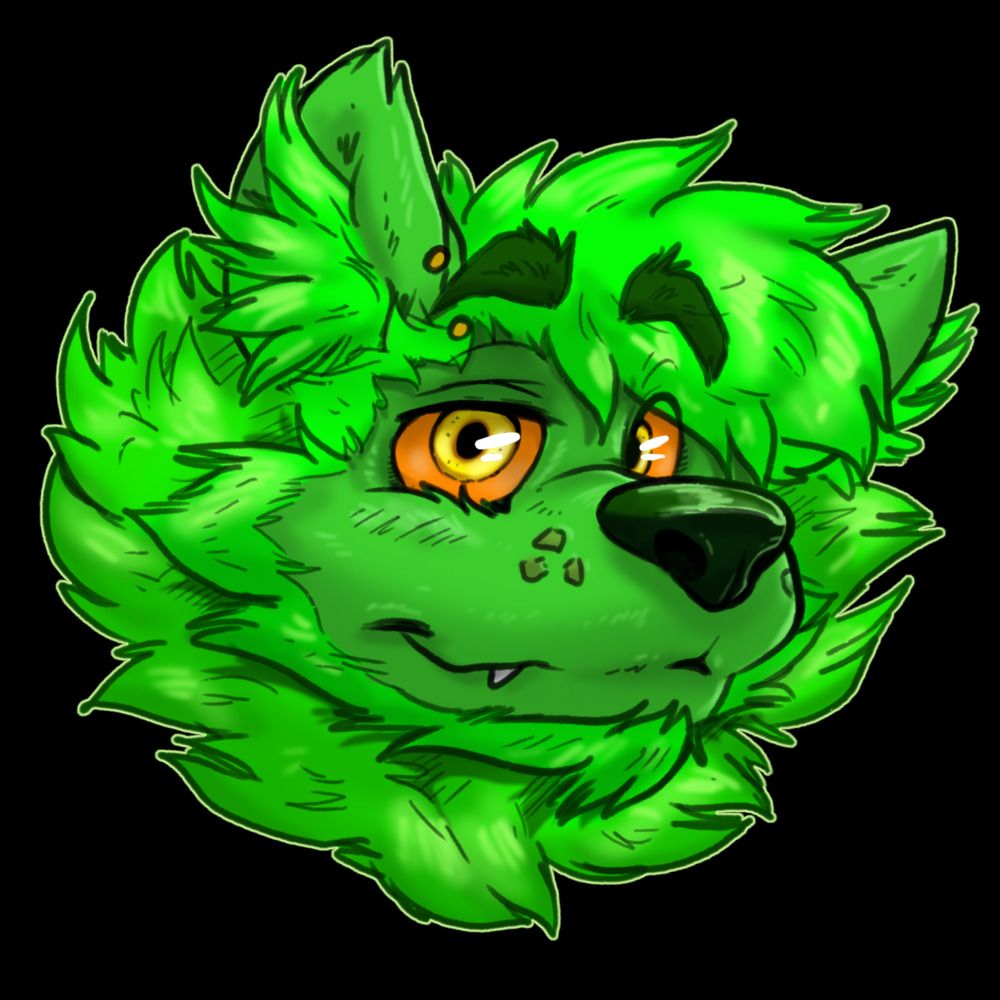 WolfBear303's avatar