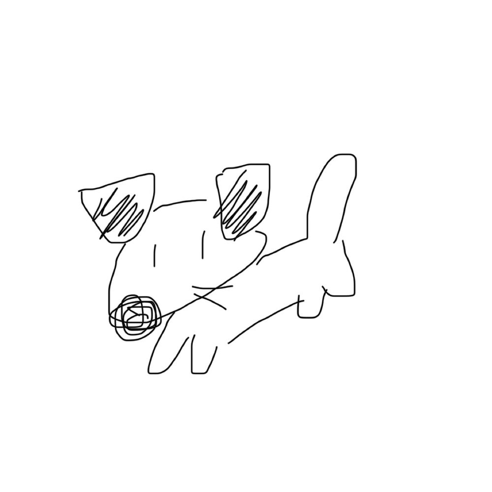 わたり