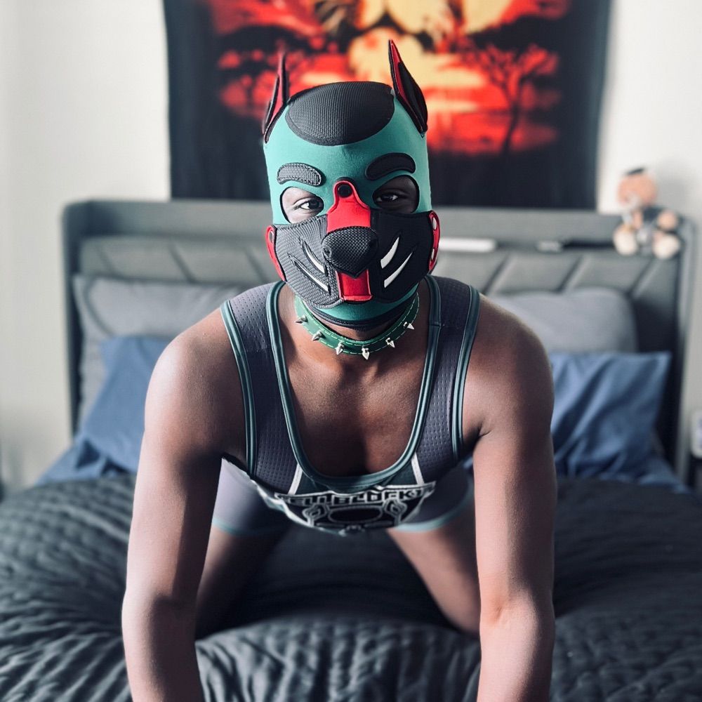 Pup Zain