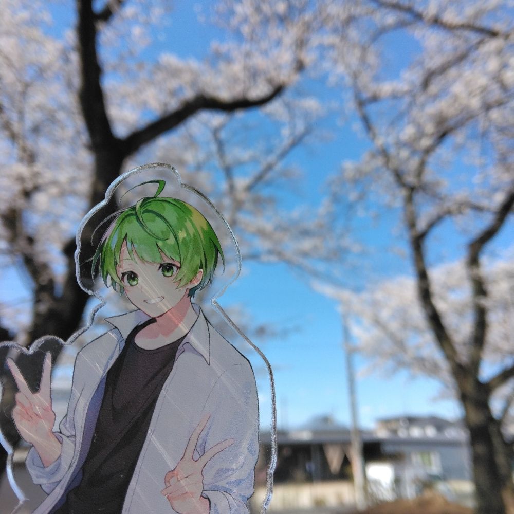 わかめごはん