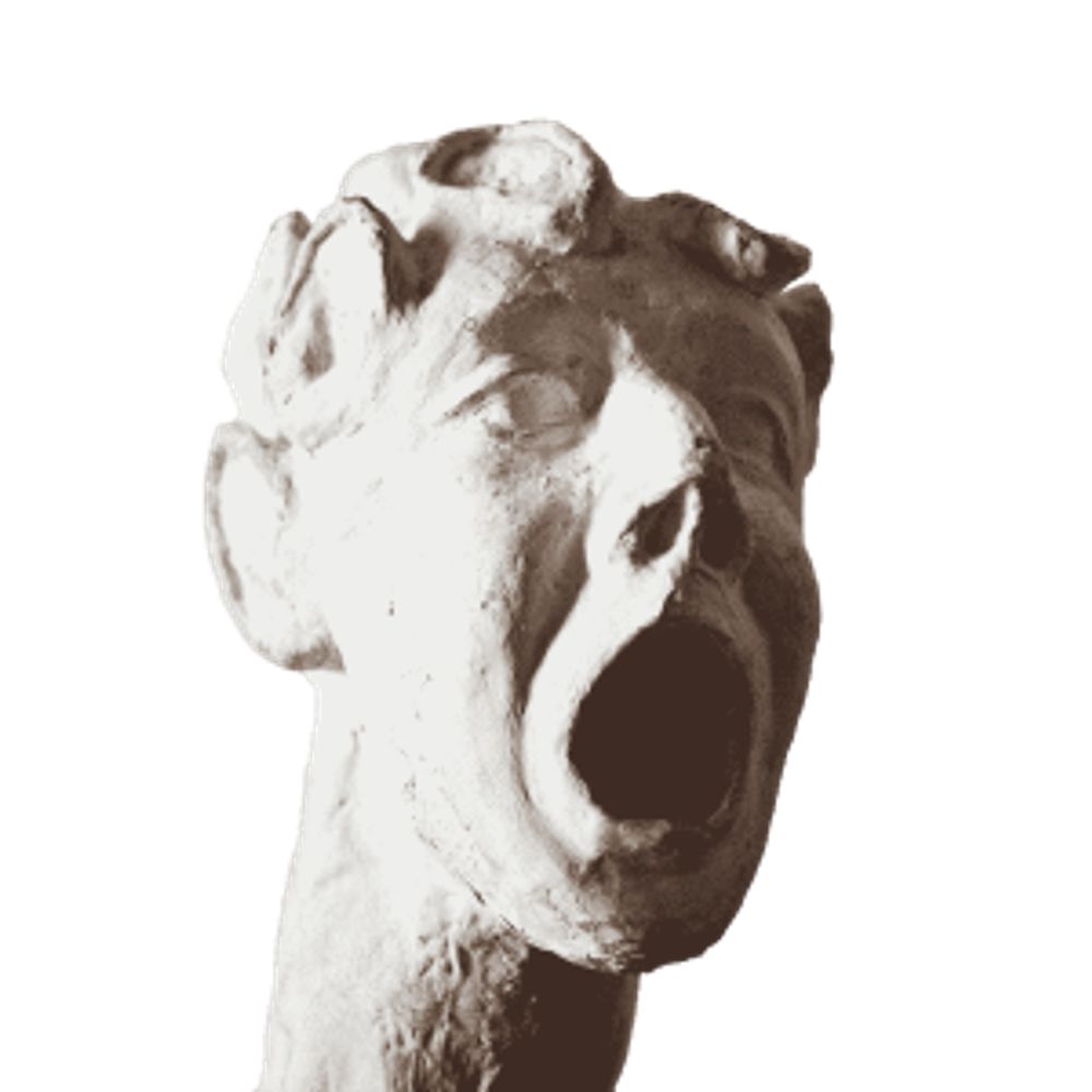 *_jayrope