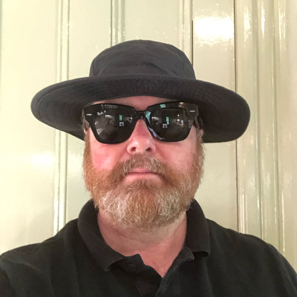 stevie w