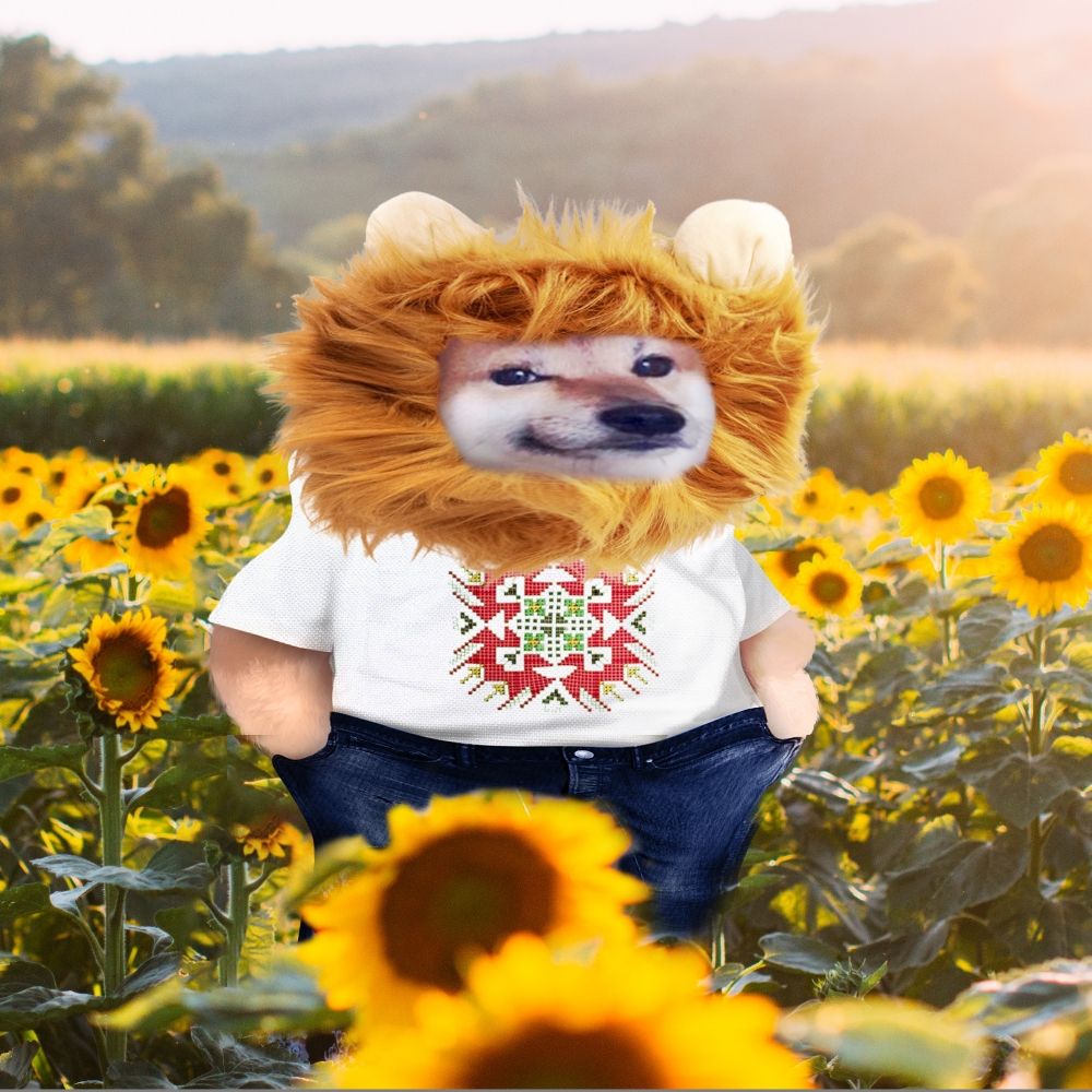 Balkan Fella