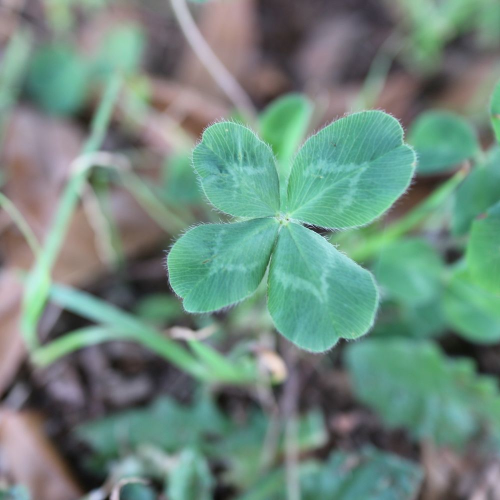 紗名🍀