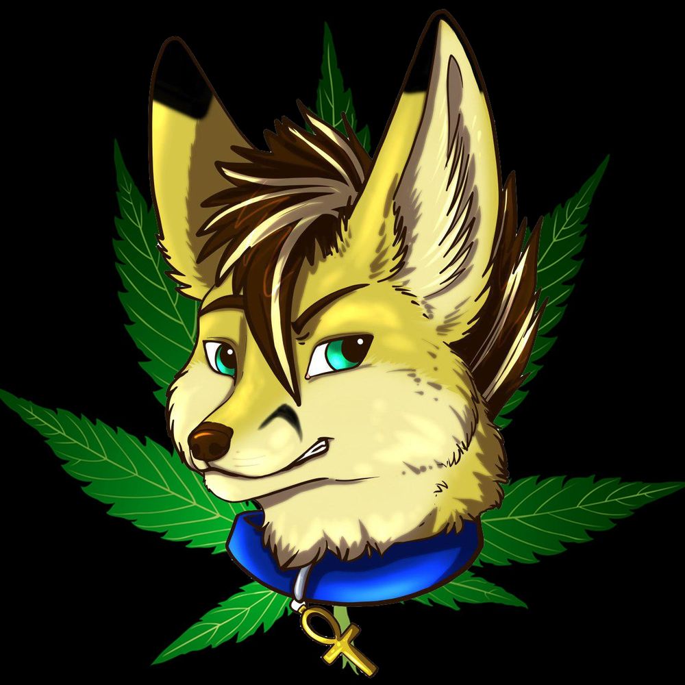 ☥Mile High Fennec☥ ΘΔ's avatar