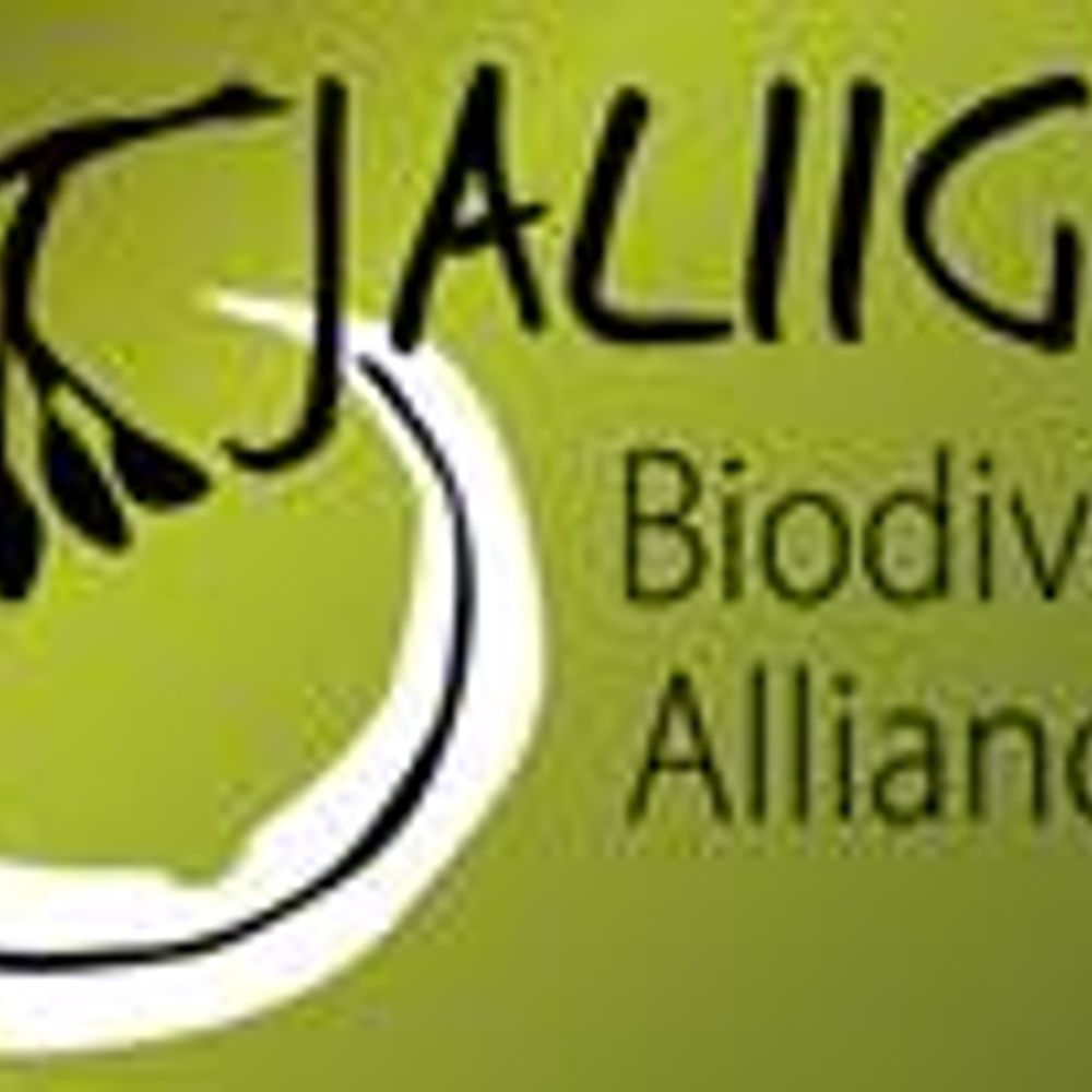 Jaliigirr Biodiversity Alliance