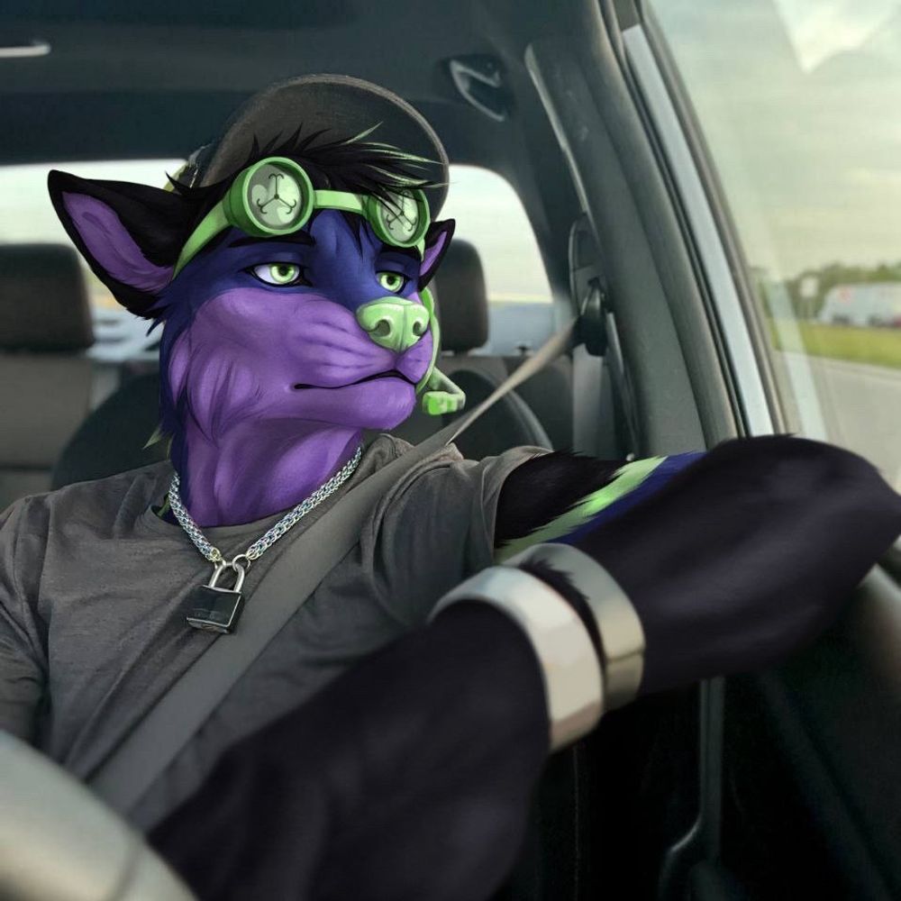 Racer Wolf