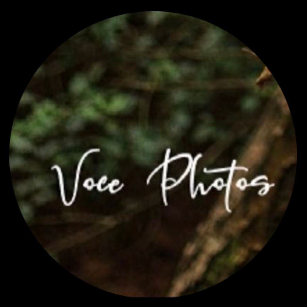 VocePhotos