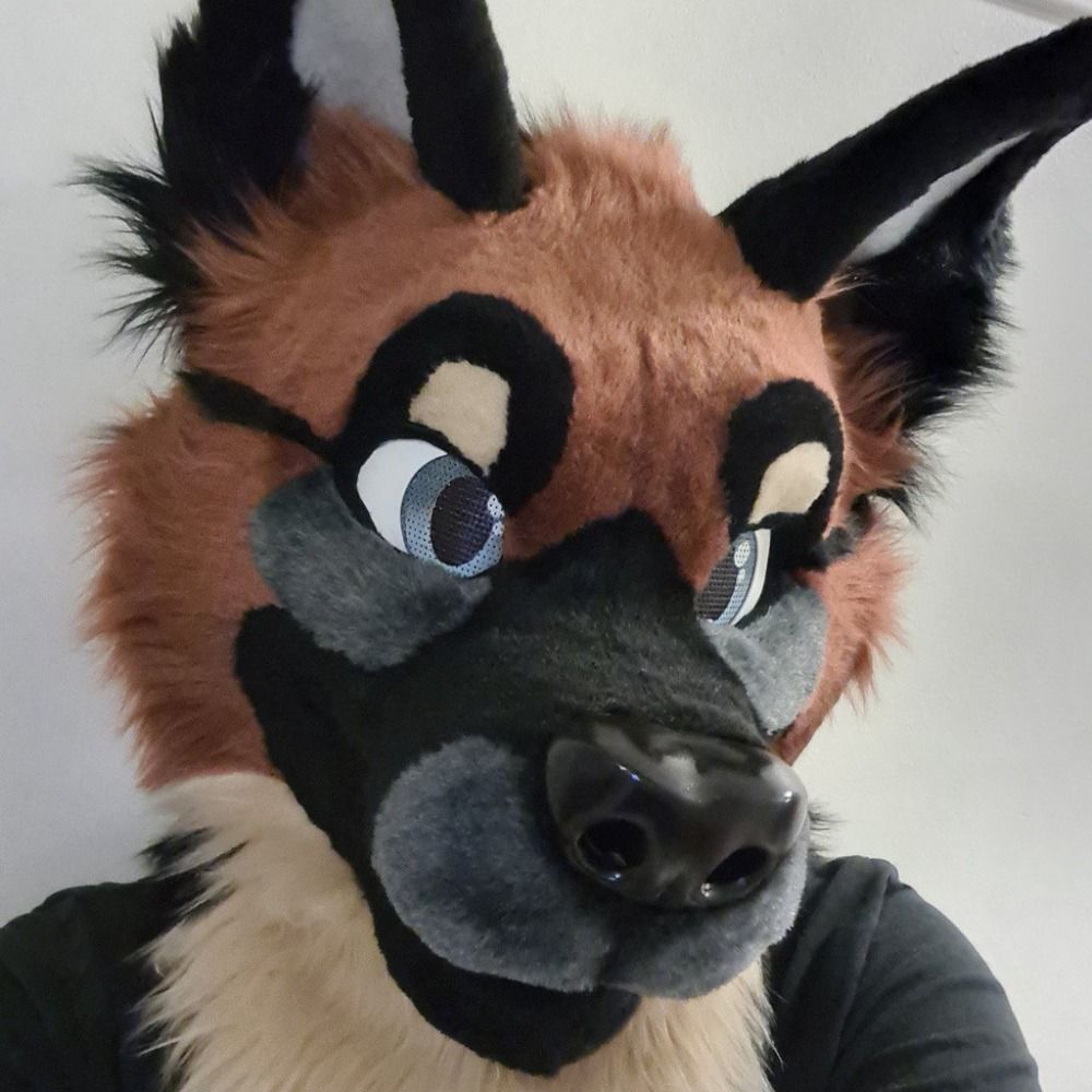 Sly Fox