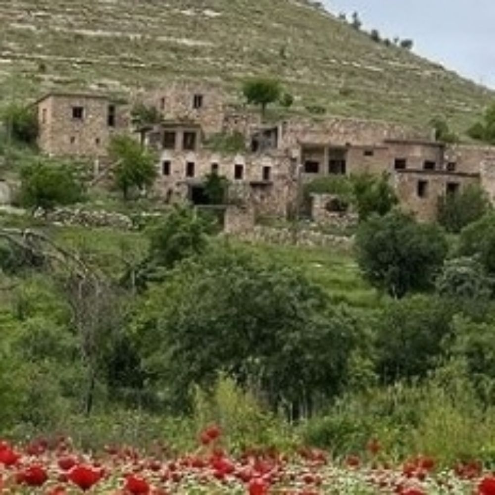 Payîz
