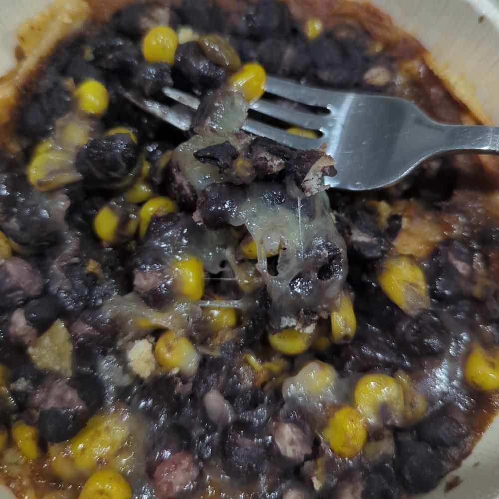 beef stroganoff (burrito bowl era)