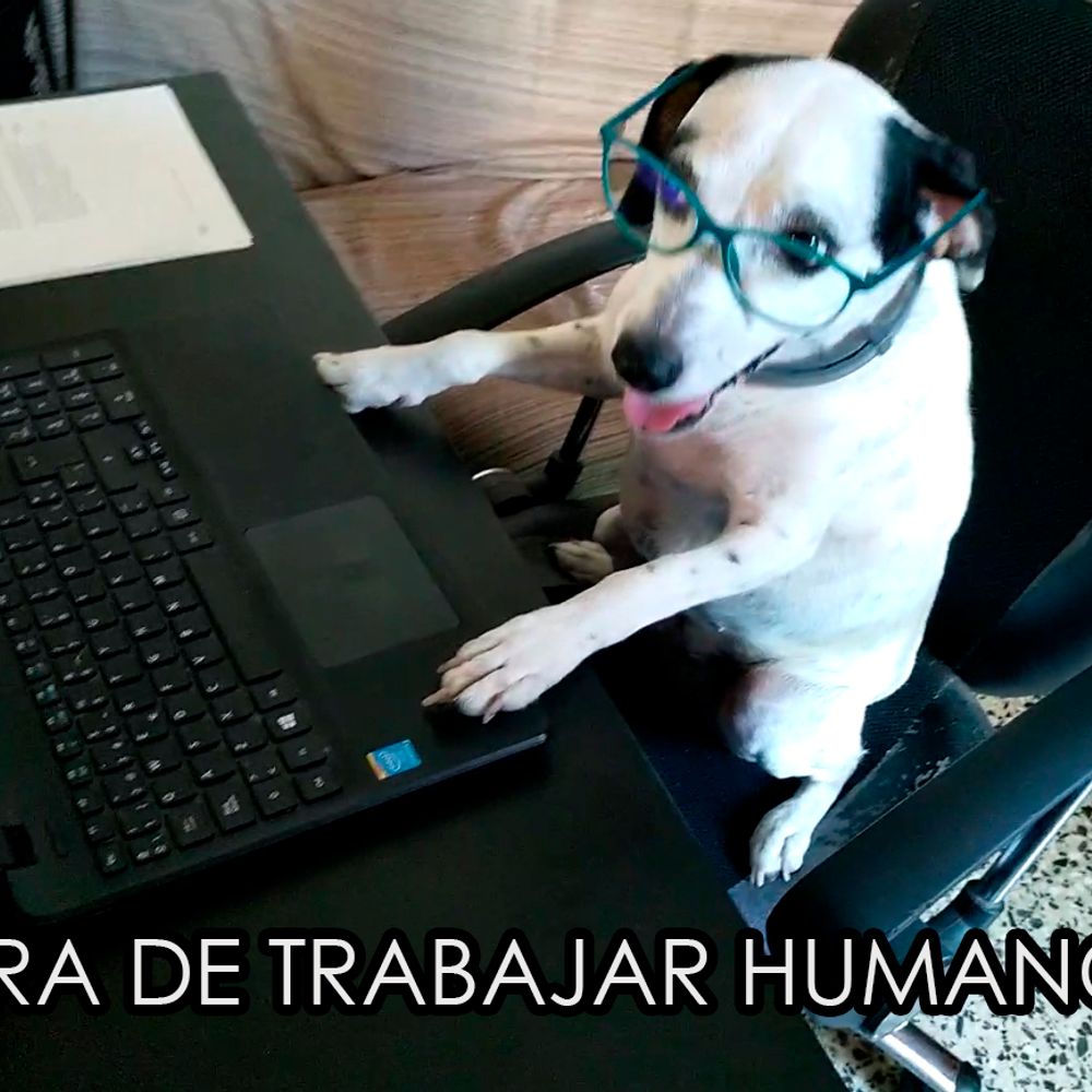 BorjaRC