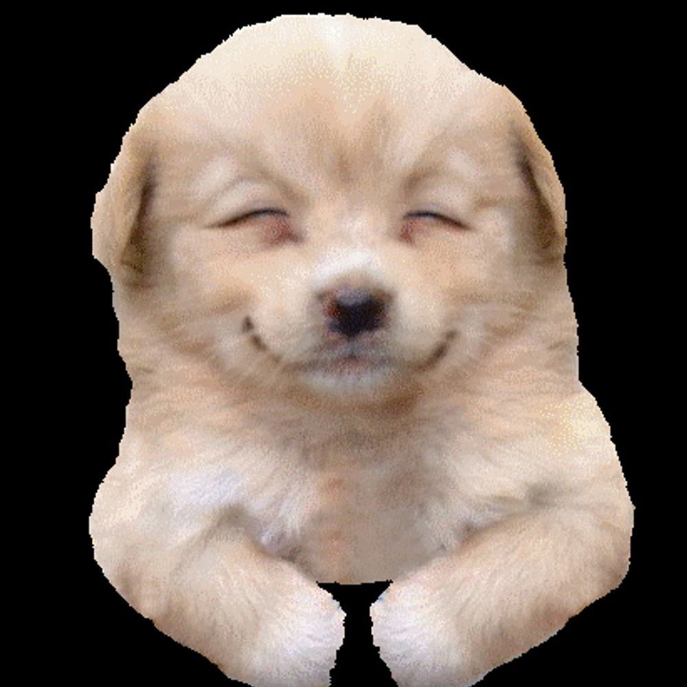 sam