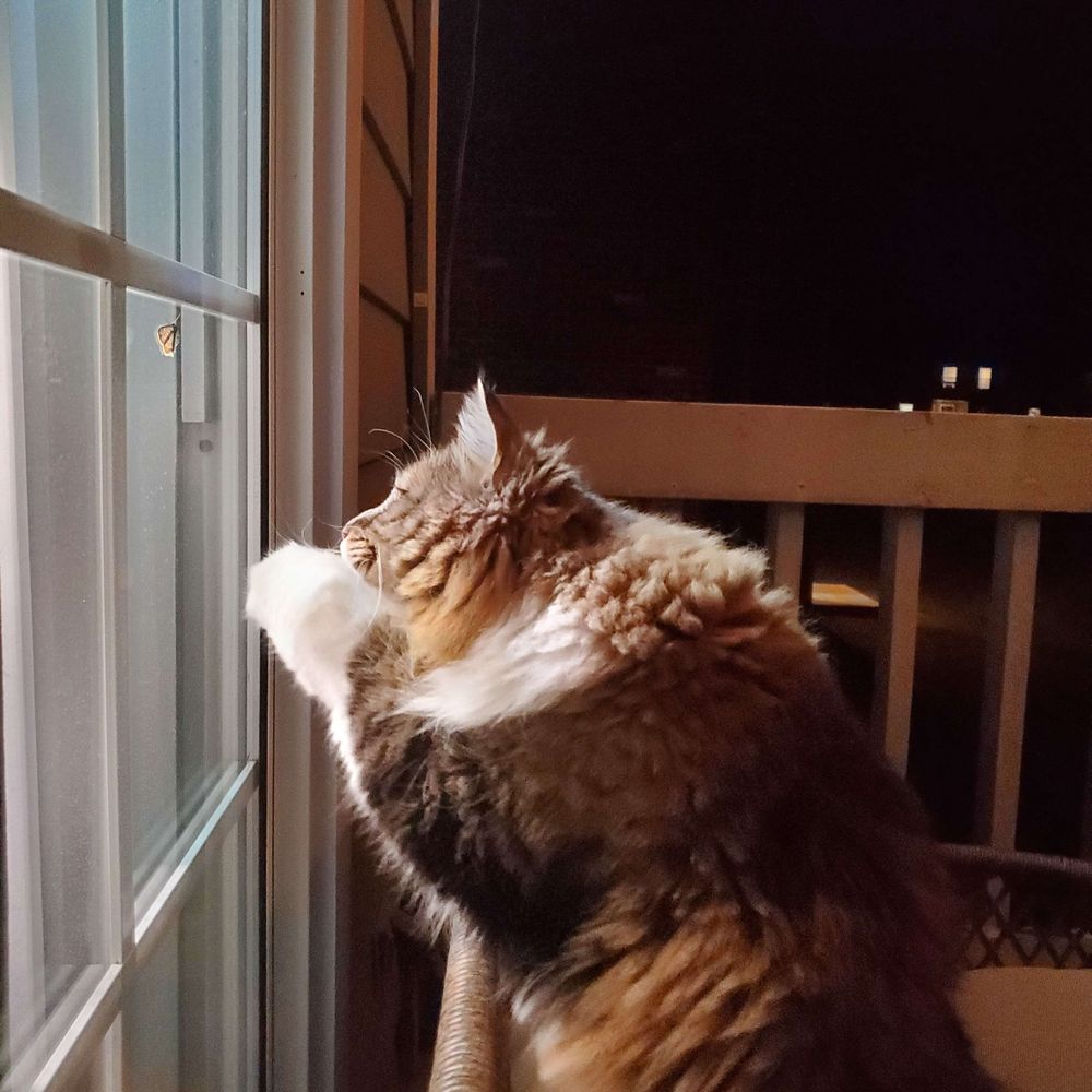 Peanut and Monkey, sometimes Waddles