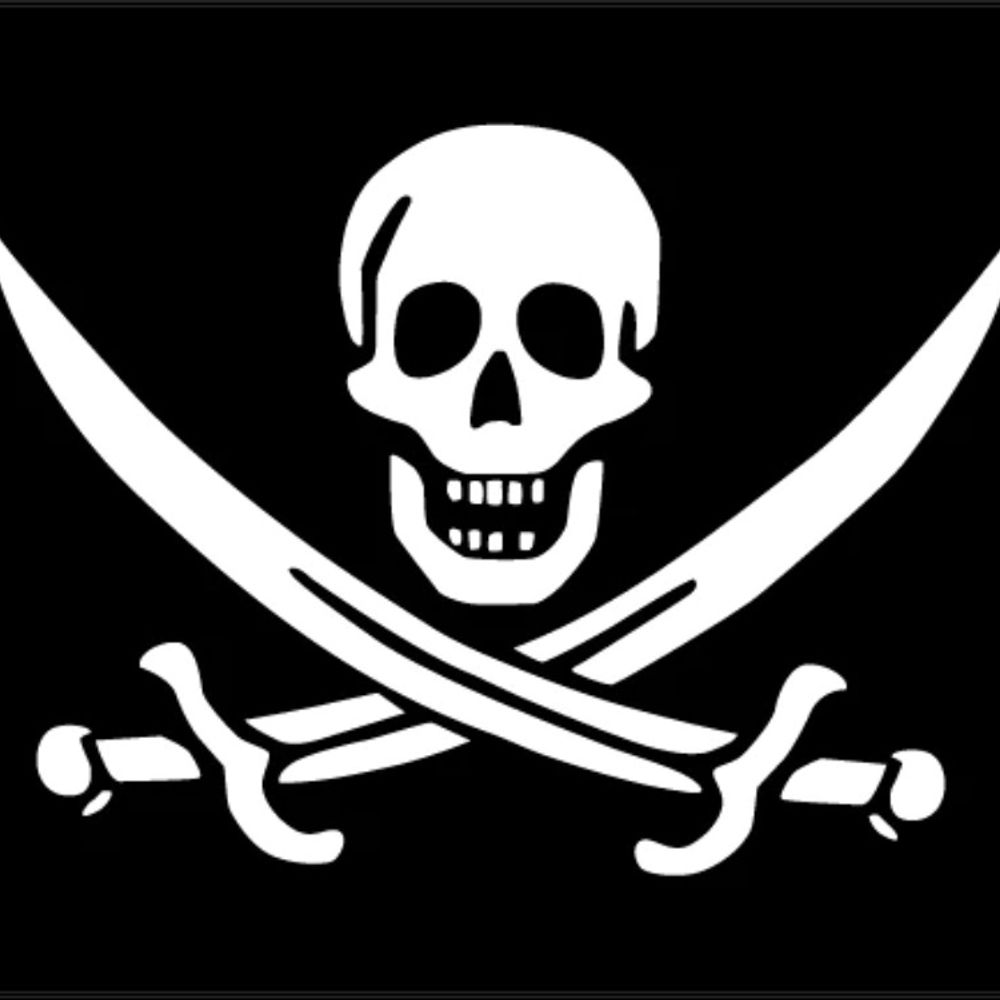Pirates Please (Rachel Rueckert)