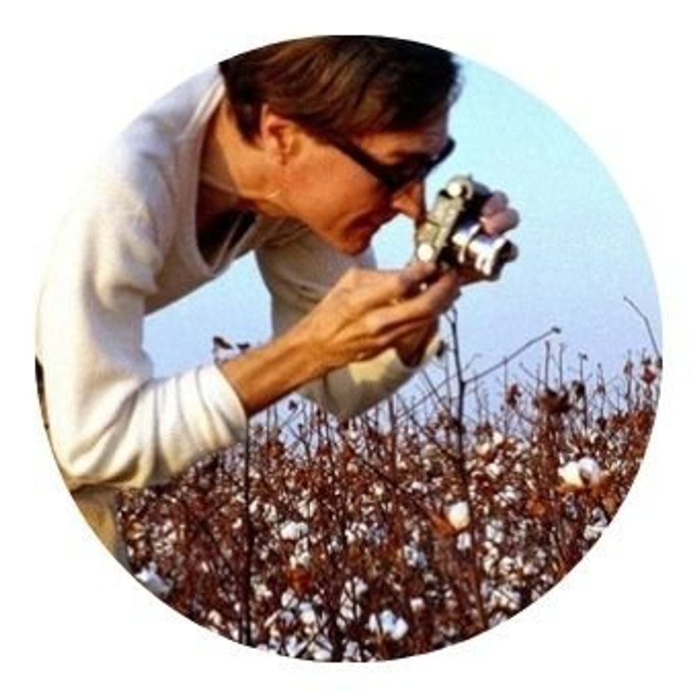 Photographer William Eggleston Course