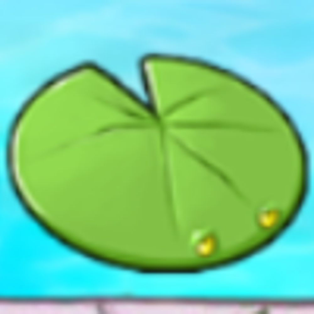 lily pad