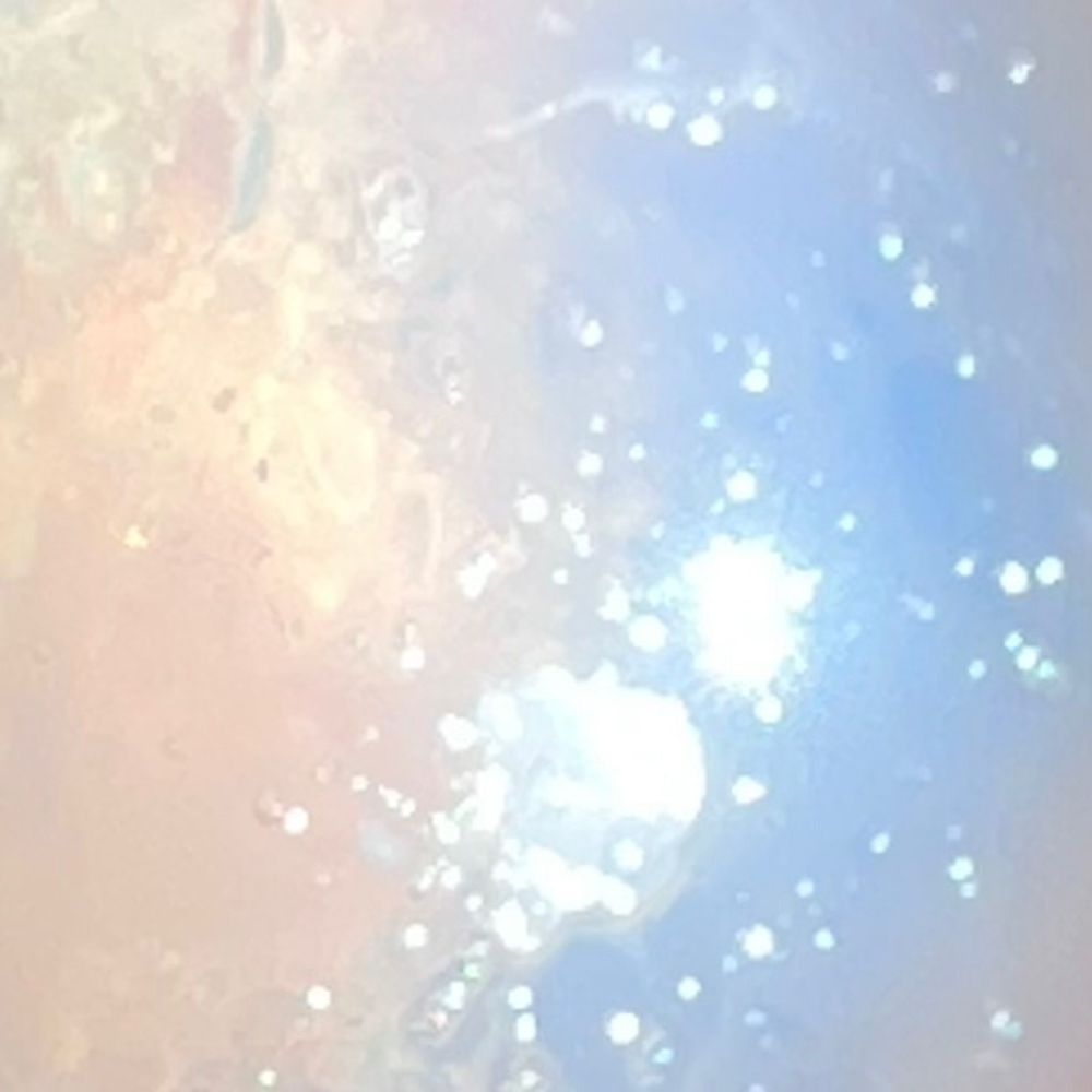 ˚₊‧ ꒰ঌ ᐢ.ˬ.ᐢ ໒꒱ ‧₊˚