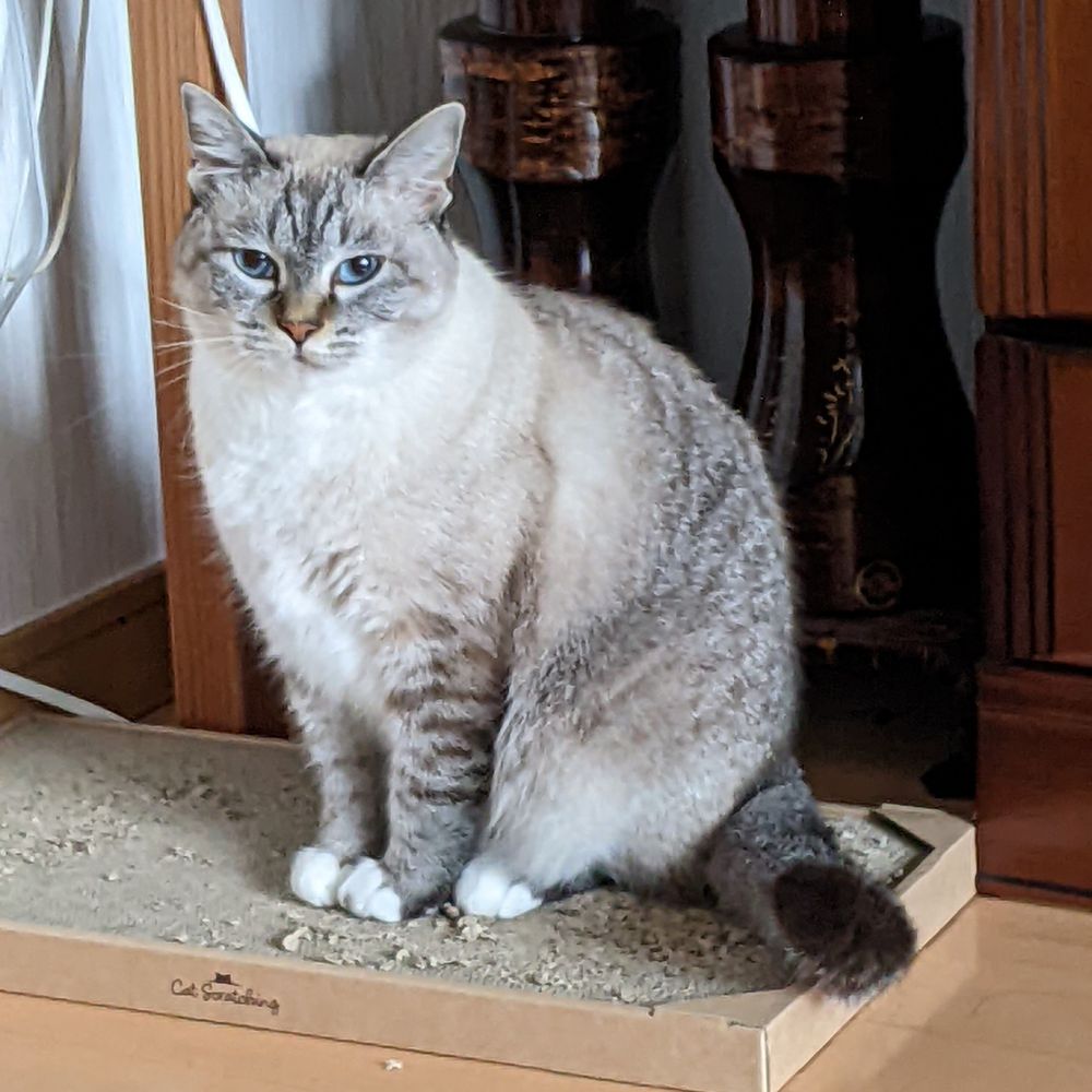 もちとかみかんづめとか