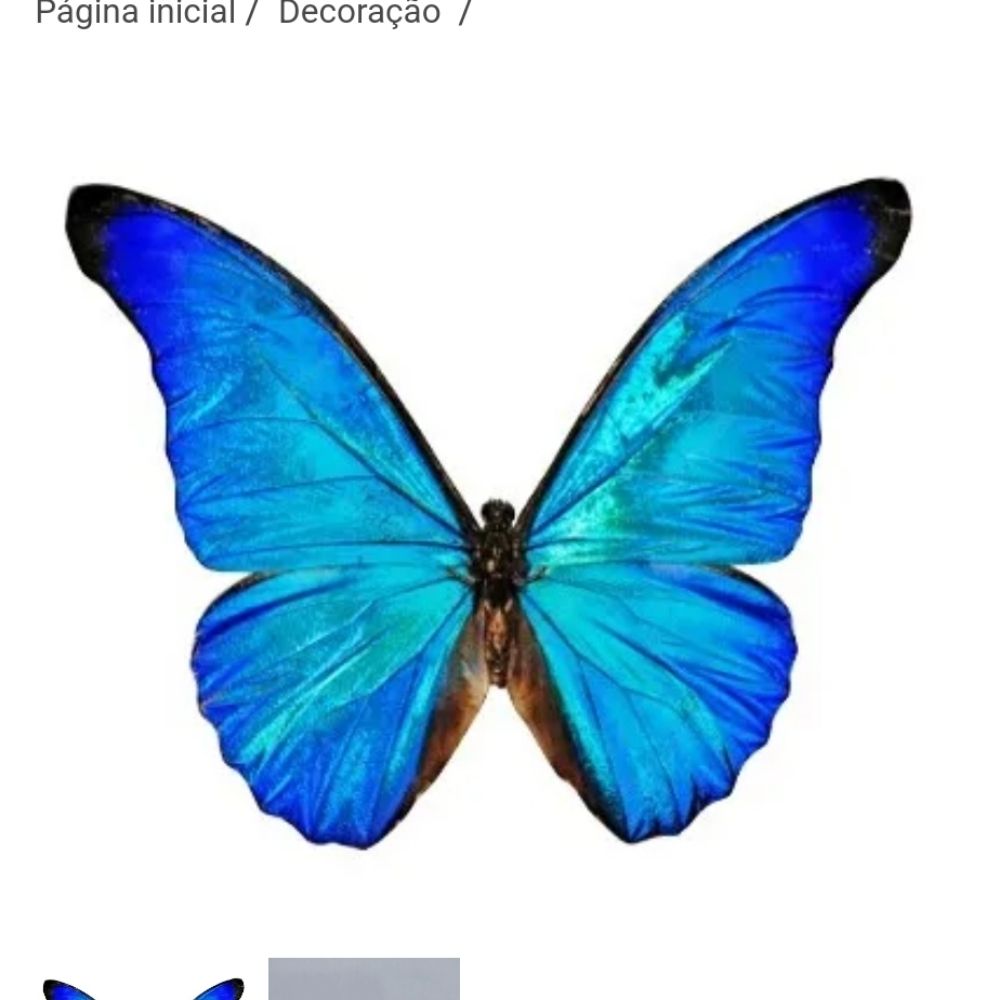 Bluecetando 🦋