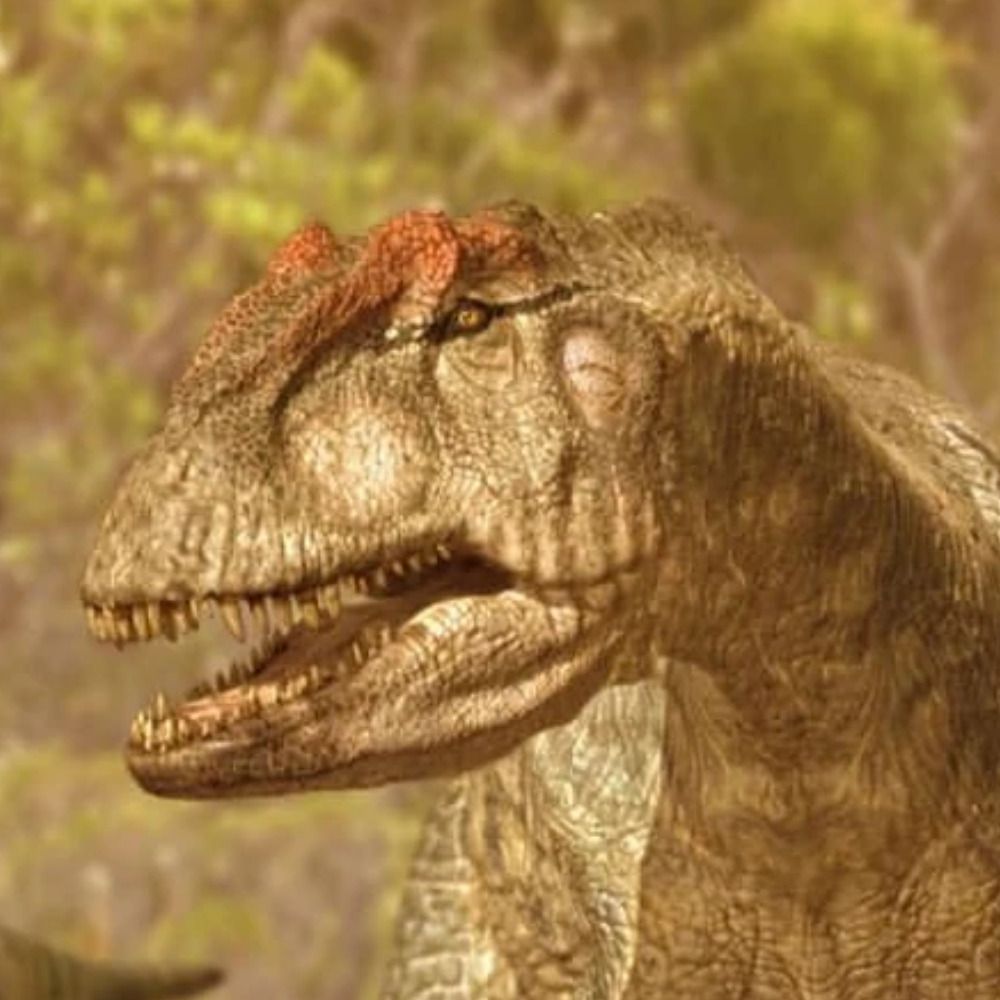 Angry Allosaurus's avatar