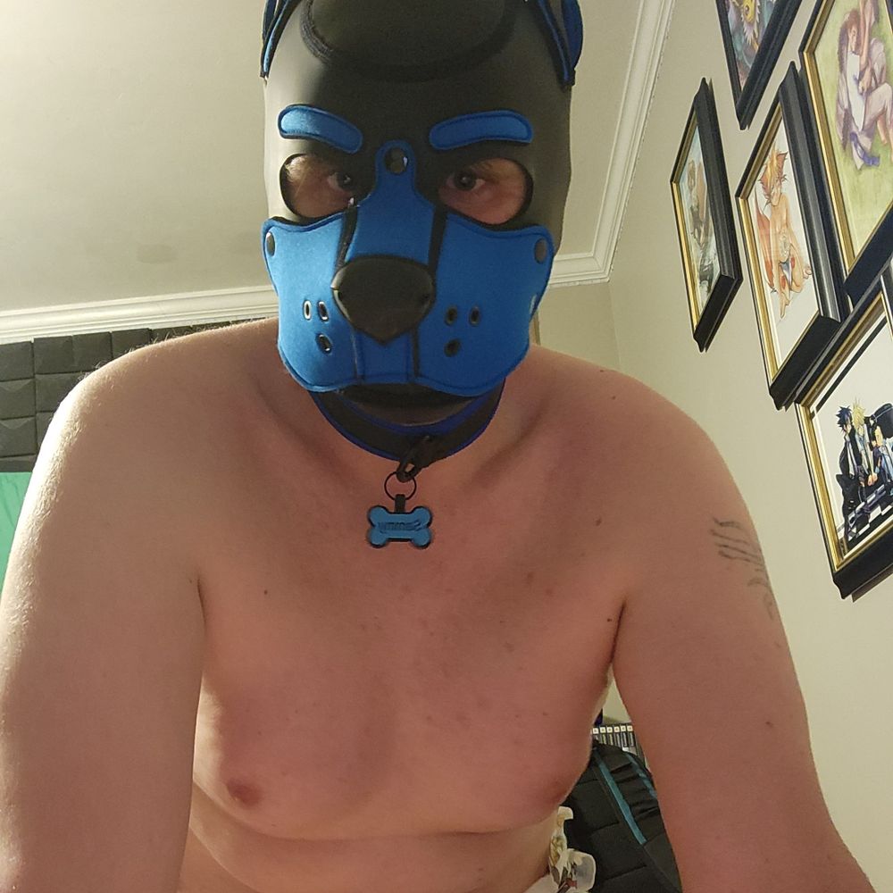 PaddedPupSammy