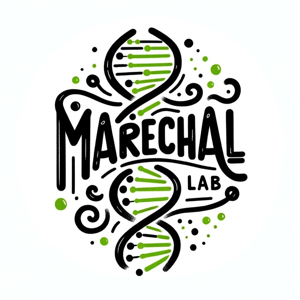 Maréchal Lab