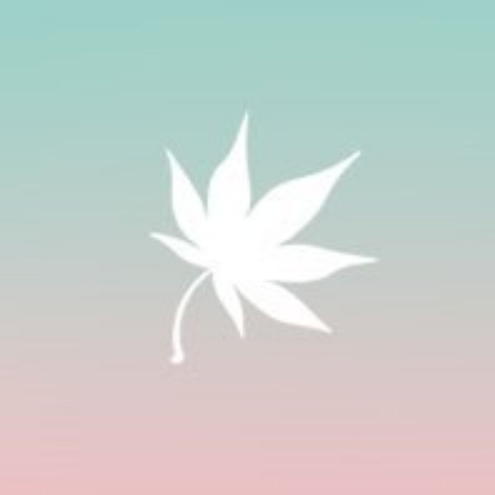 🍁