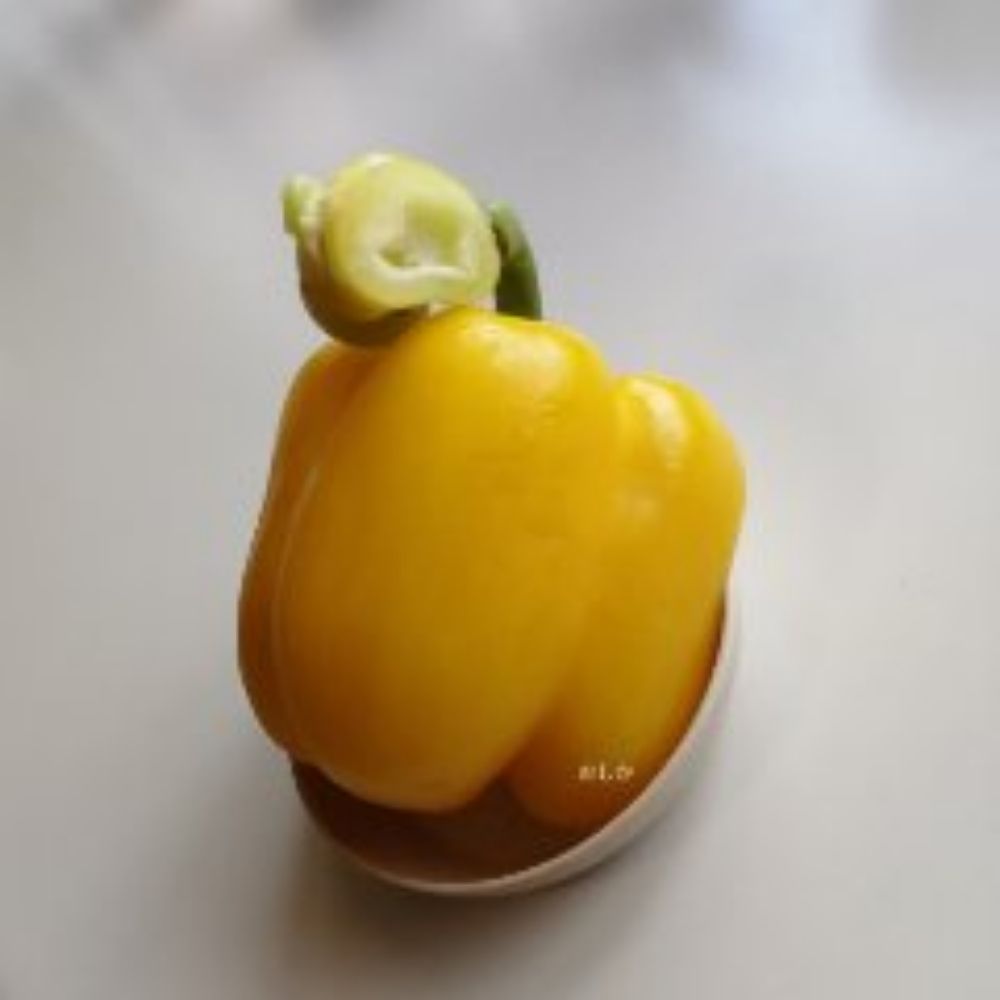 おしか