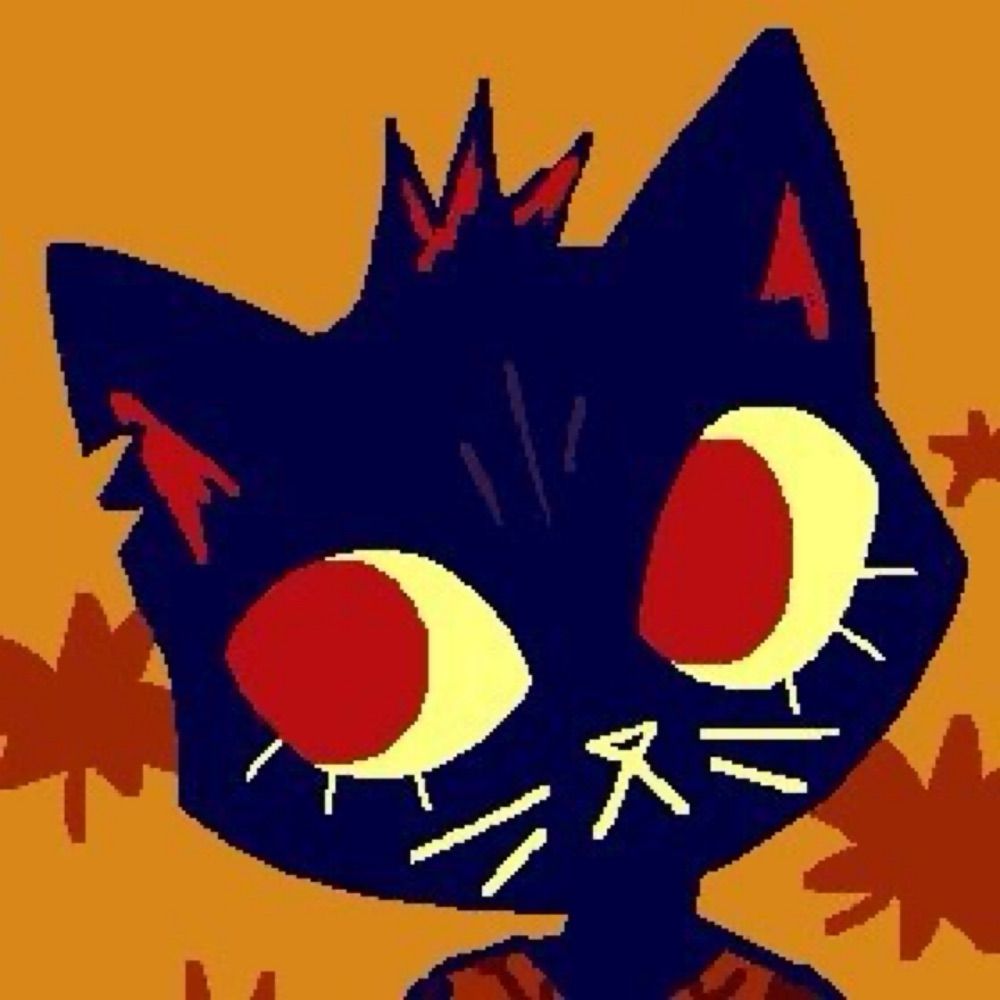 nyx 🐈‍⬛