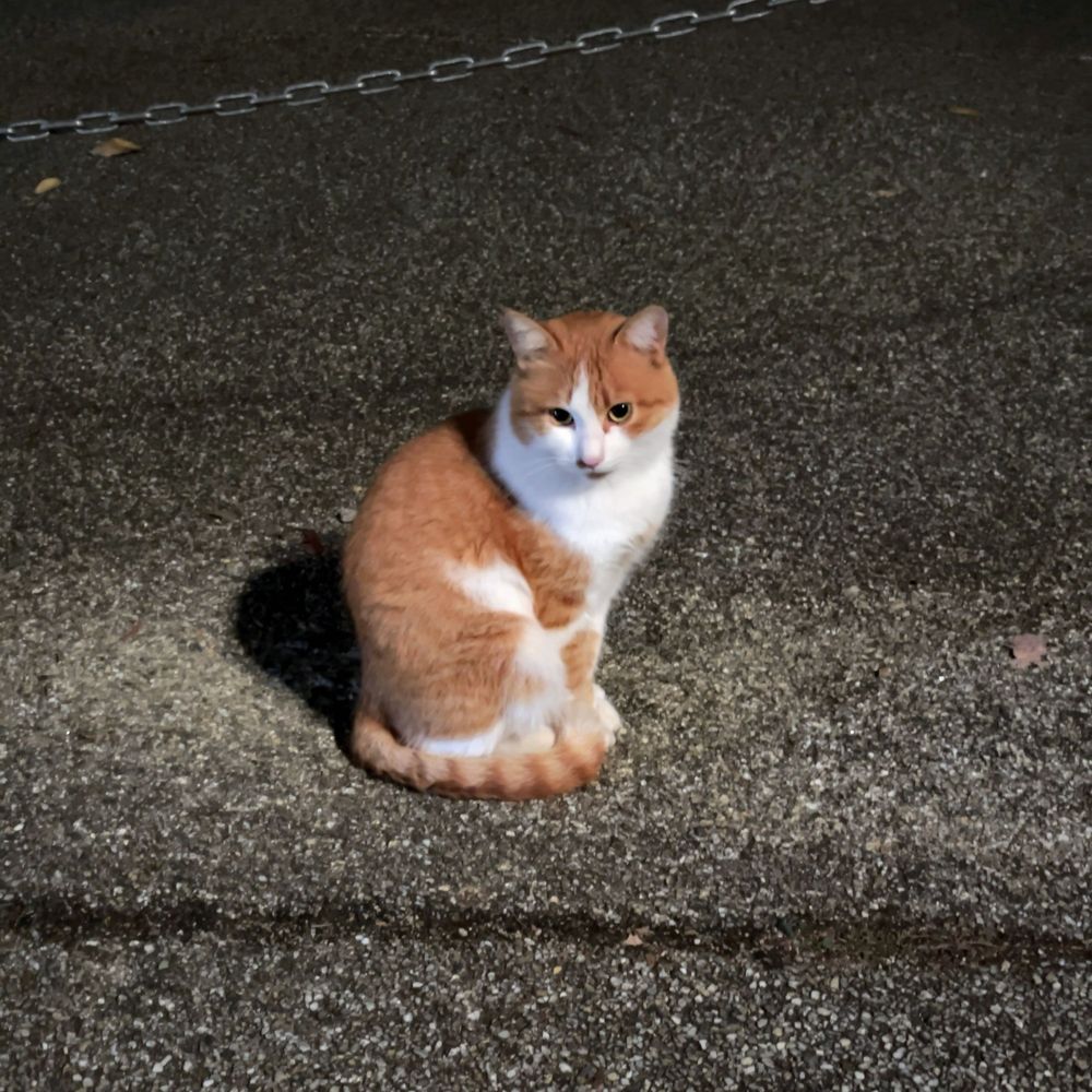ゆるり