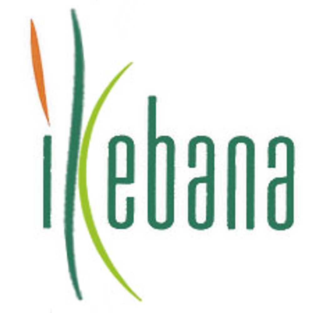 Floristería Ikebana