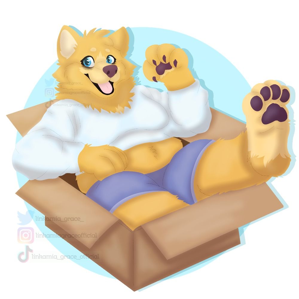 Link 🐾